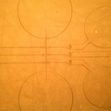 Example of microfluidics device: circuit 5